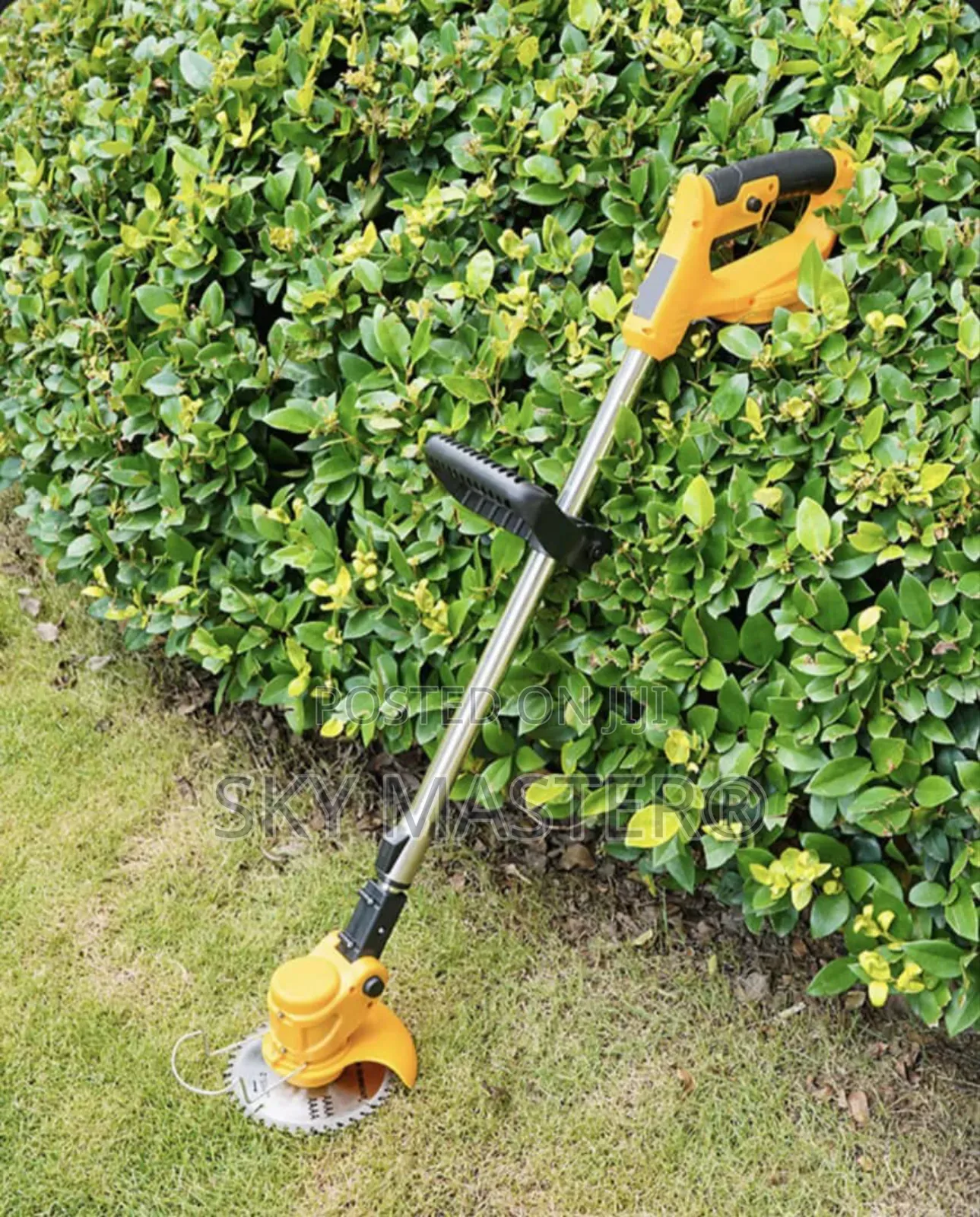 Cordless Brush Cutter