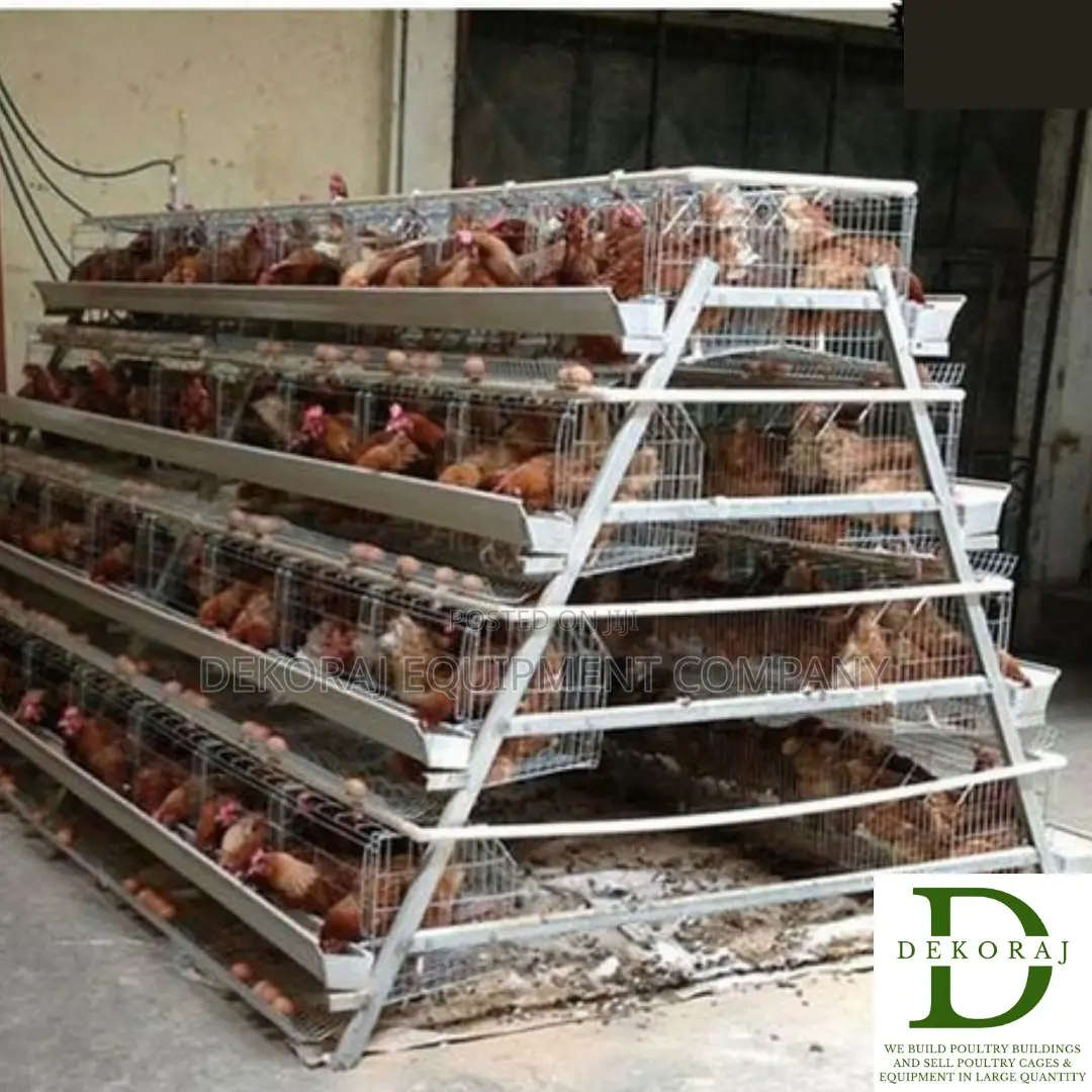 96 Capacity Poultry Cage, Nipple Drinkers, Broiler