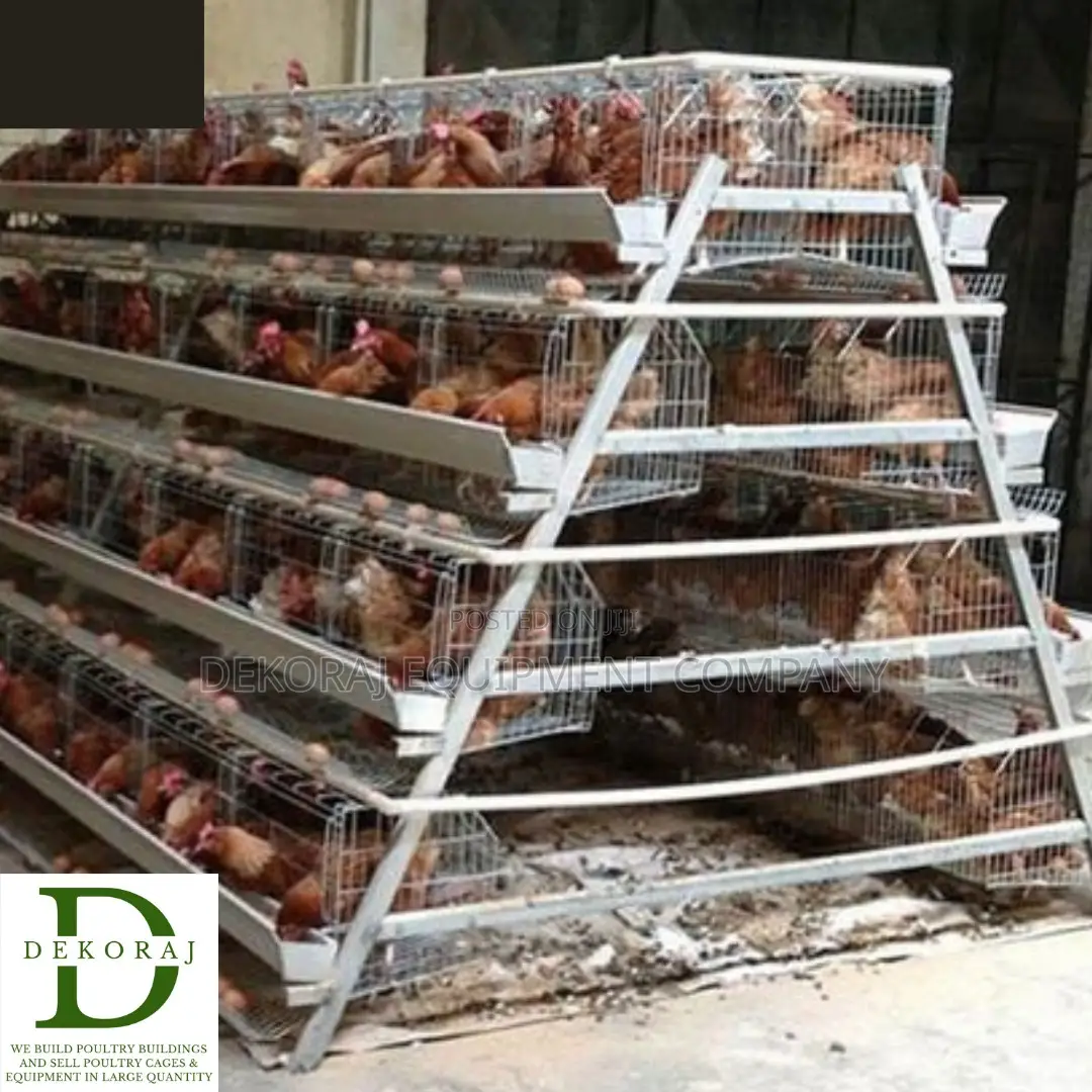 128 Capacity Poultry Cage, Layers, Drinkers