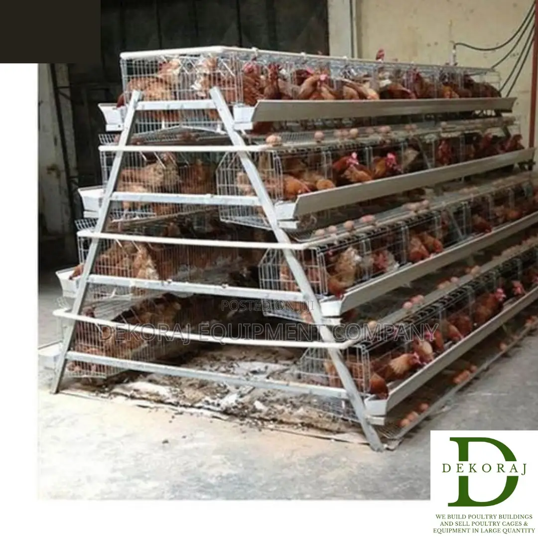 128 Capacity Poultry Cage, Day Old Broiler, Bell Drinkers