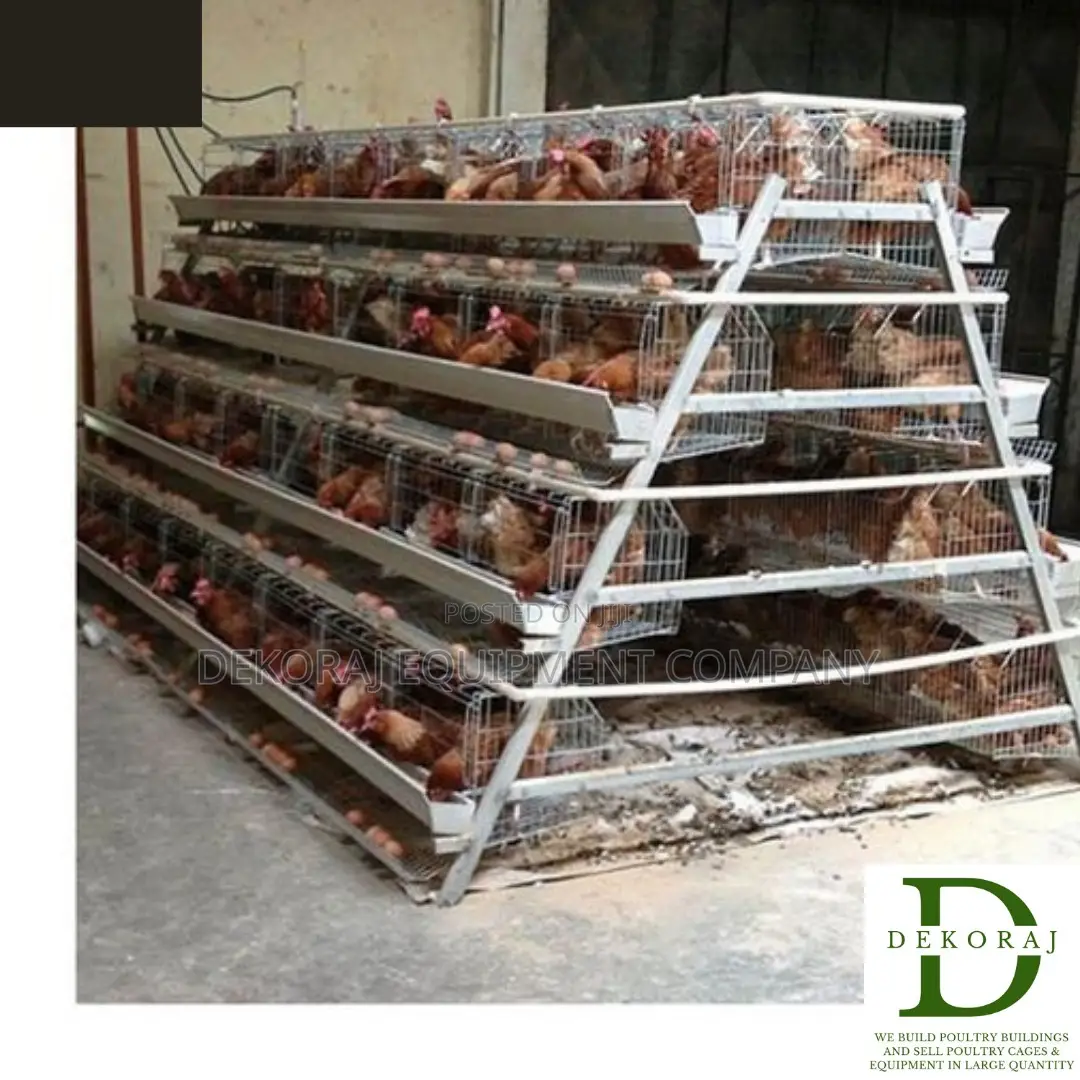 96 Capacity Poultry Cage, Chicken Feeder, Point Of Lay
