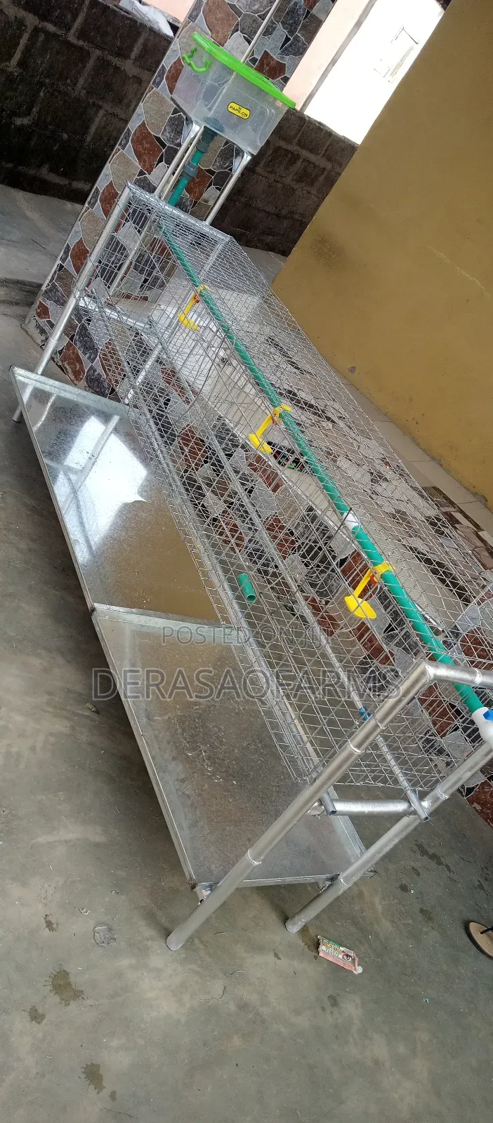 Broiler Cage for Your Backyard Farming