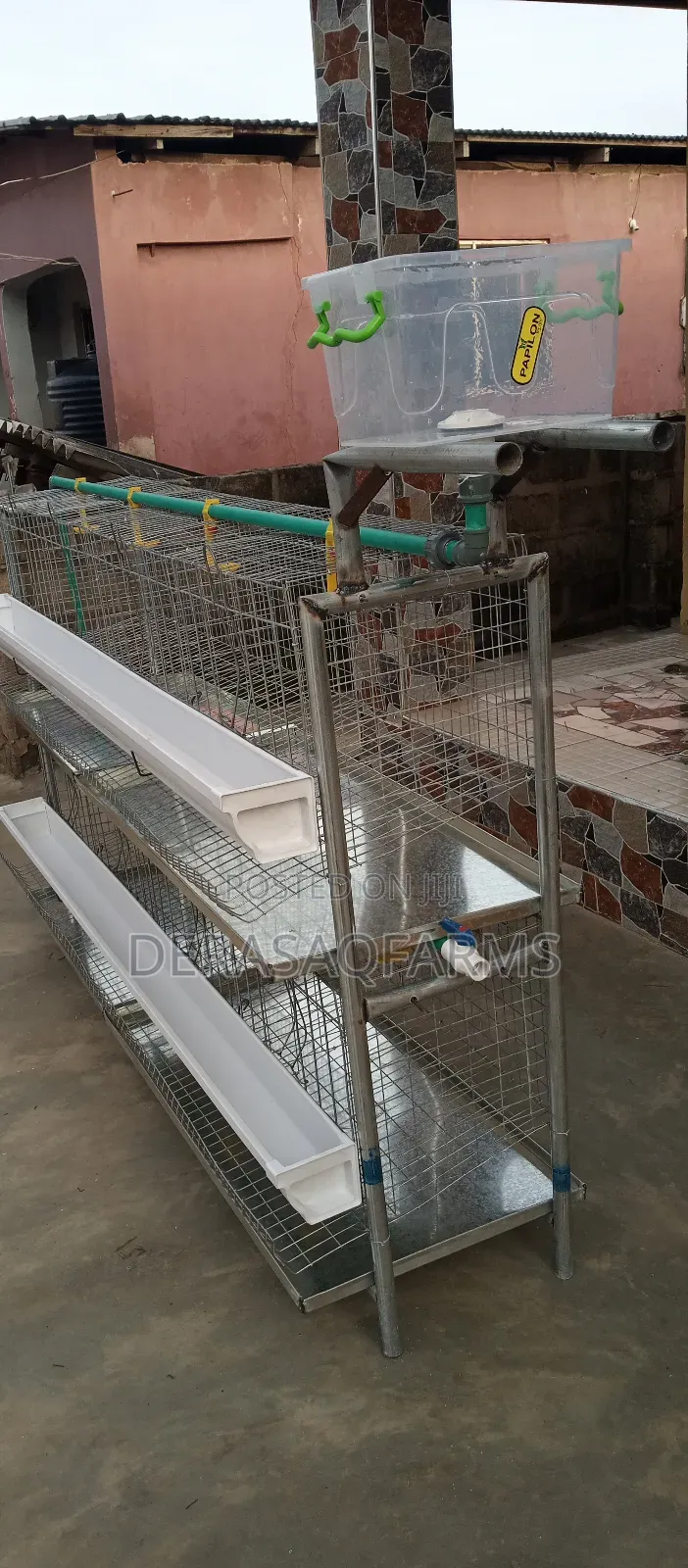 Layers Cage for Your Backyard Farming