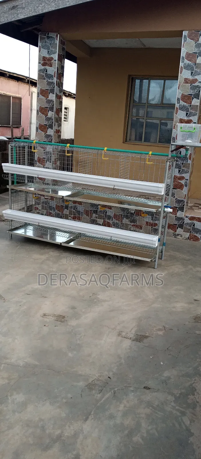 Layers Cage for Your Backyard Farming