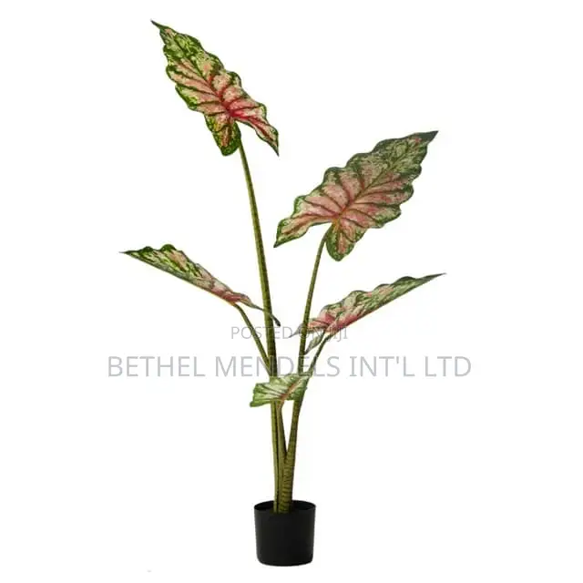 Buy Artificial Angel Wings Tree |130cm