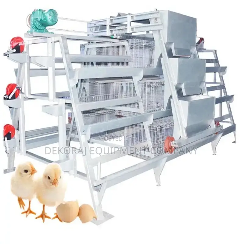 Automatic Chicken Cage For Laying Hen