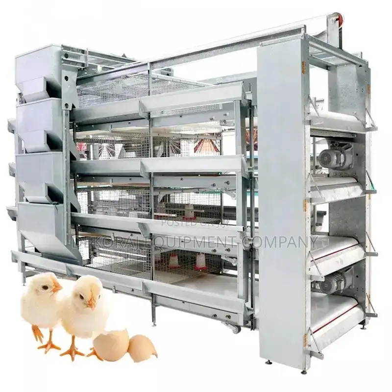 Automatic Chicken Cage For 10,000- 100,000 Birds Capacity