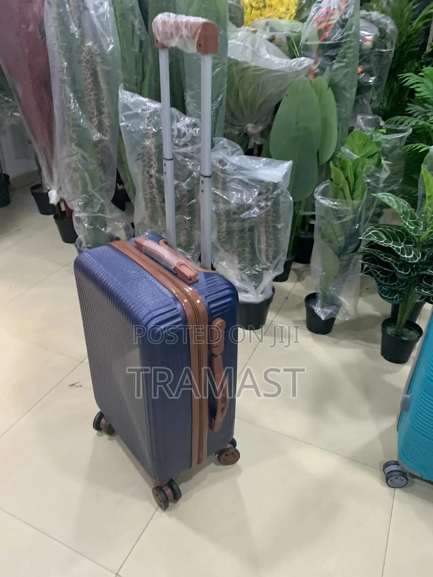 Wanda Polo Travel Luggage