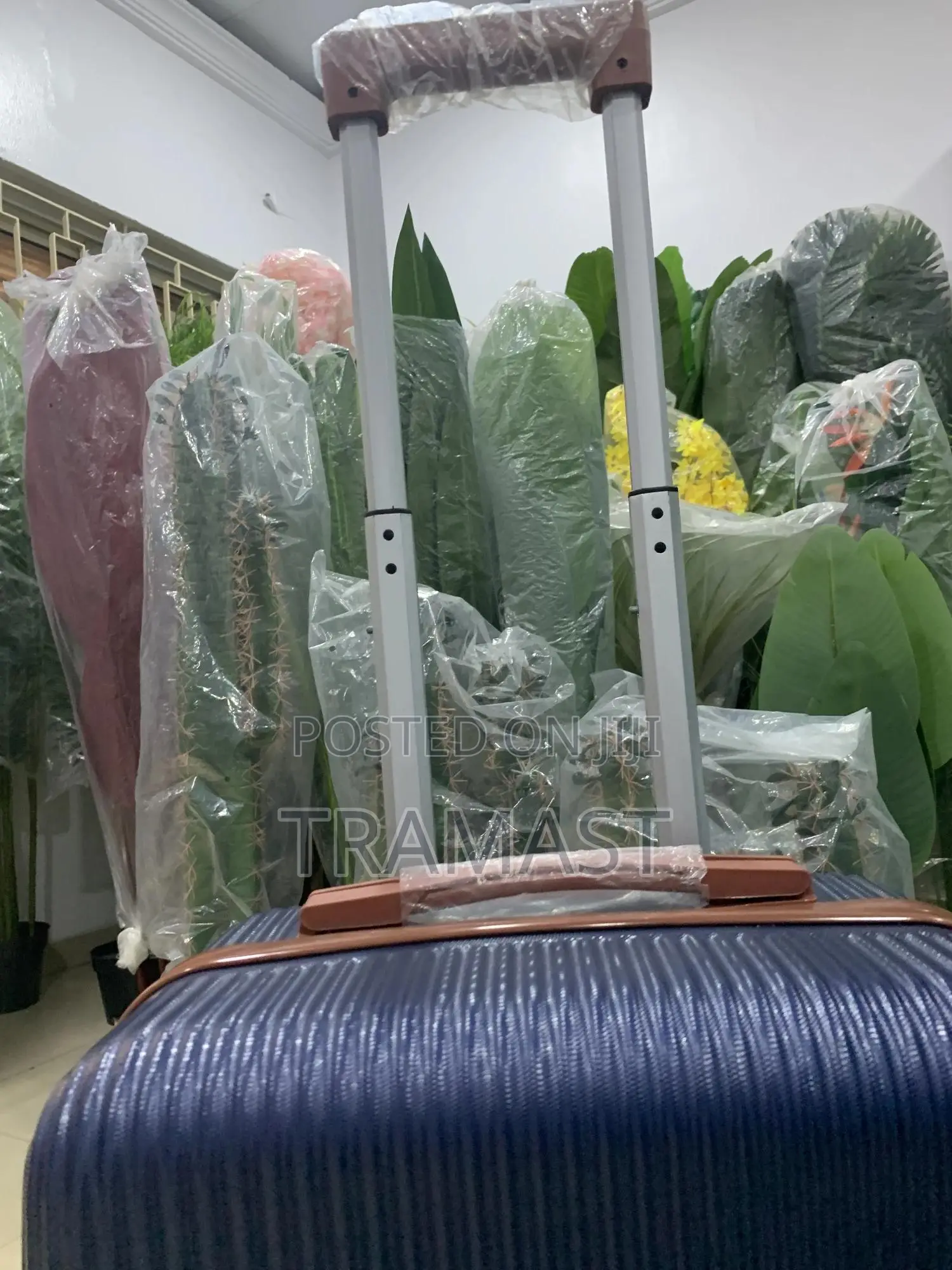 Wanda Polo Travel Luggage
