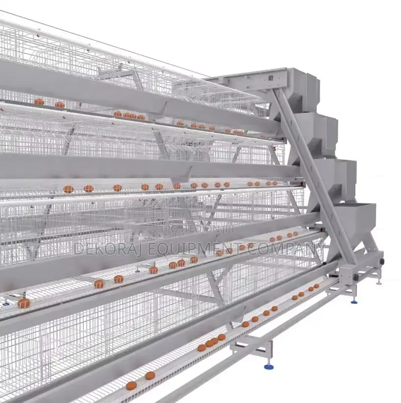 160 Automatic Poultry Cages For Birds