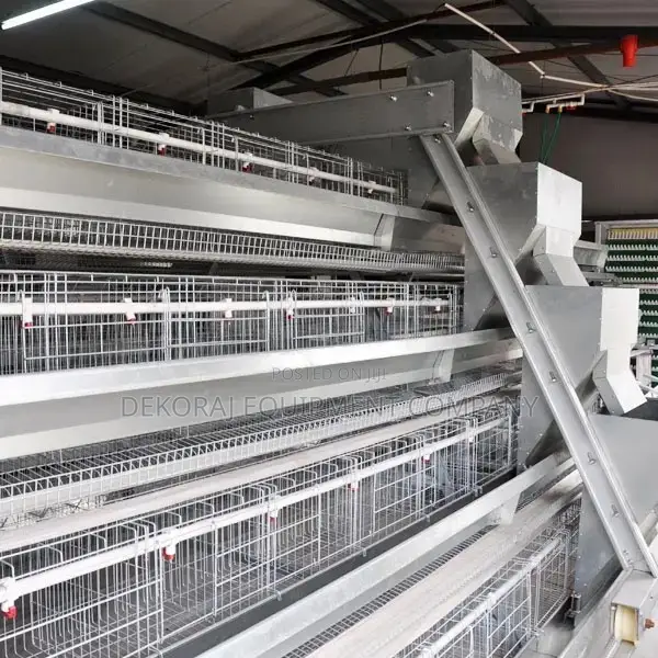 Super High Grade Foreign Automatic Layer Cages