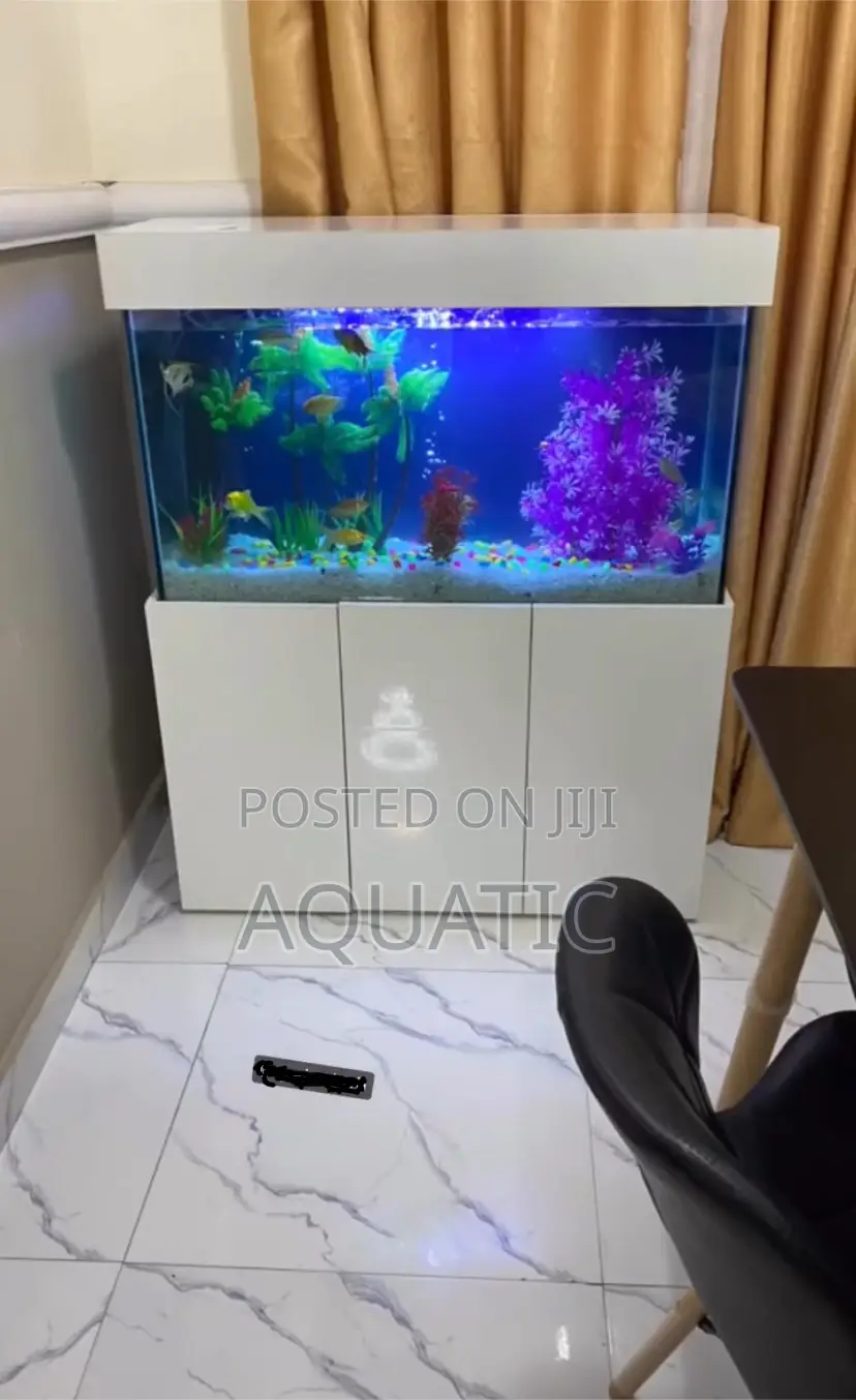 Aquarium Fish Tank