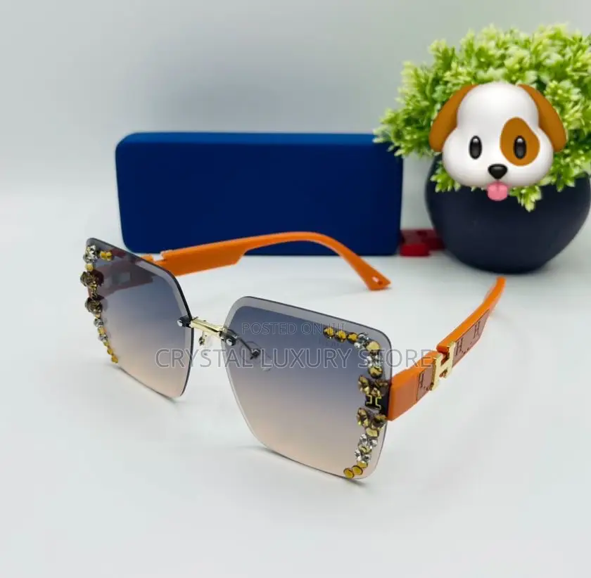 Hermes Quality Luxury Ladies Sunglasses