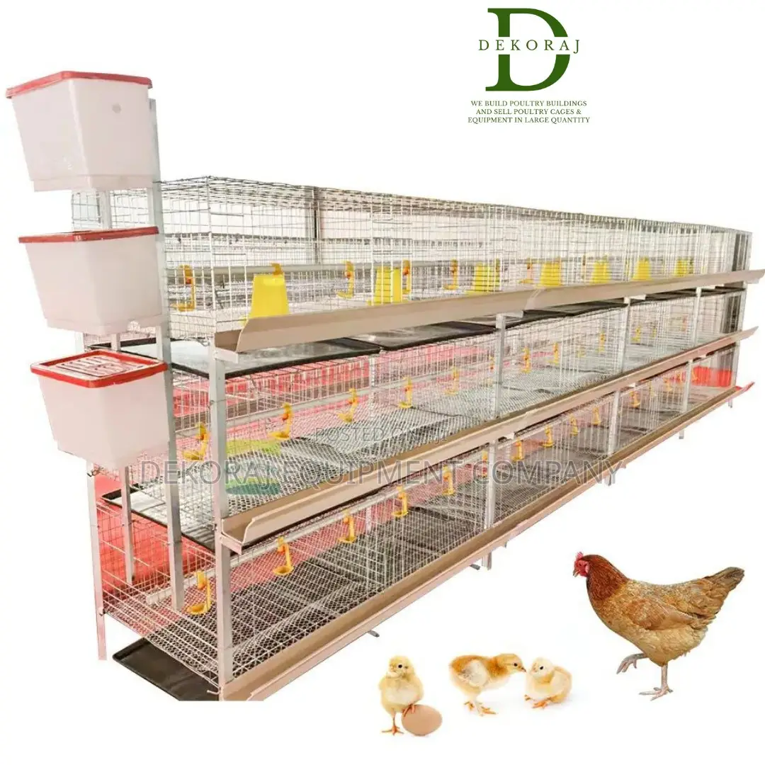 Efficient Farming With Imported H Type 120 Poultry Cages