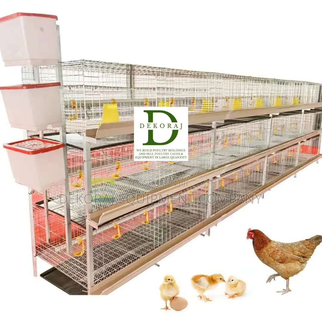 Enhance Poultry Production With Imported H Type 120 Cages B