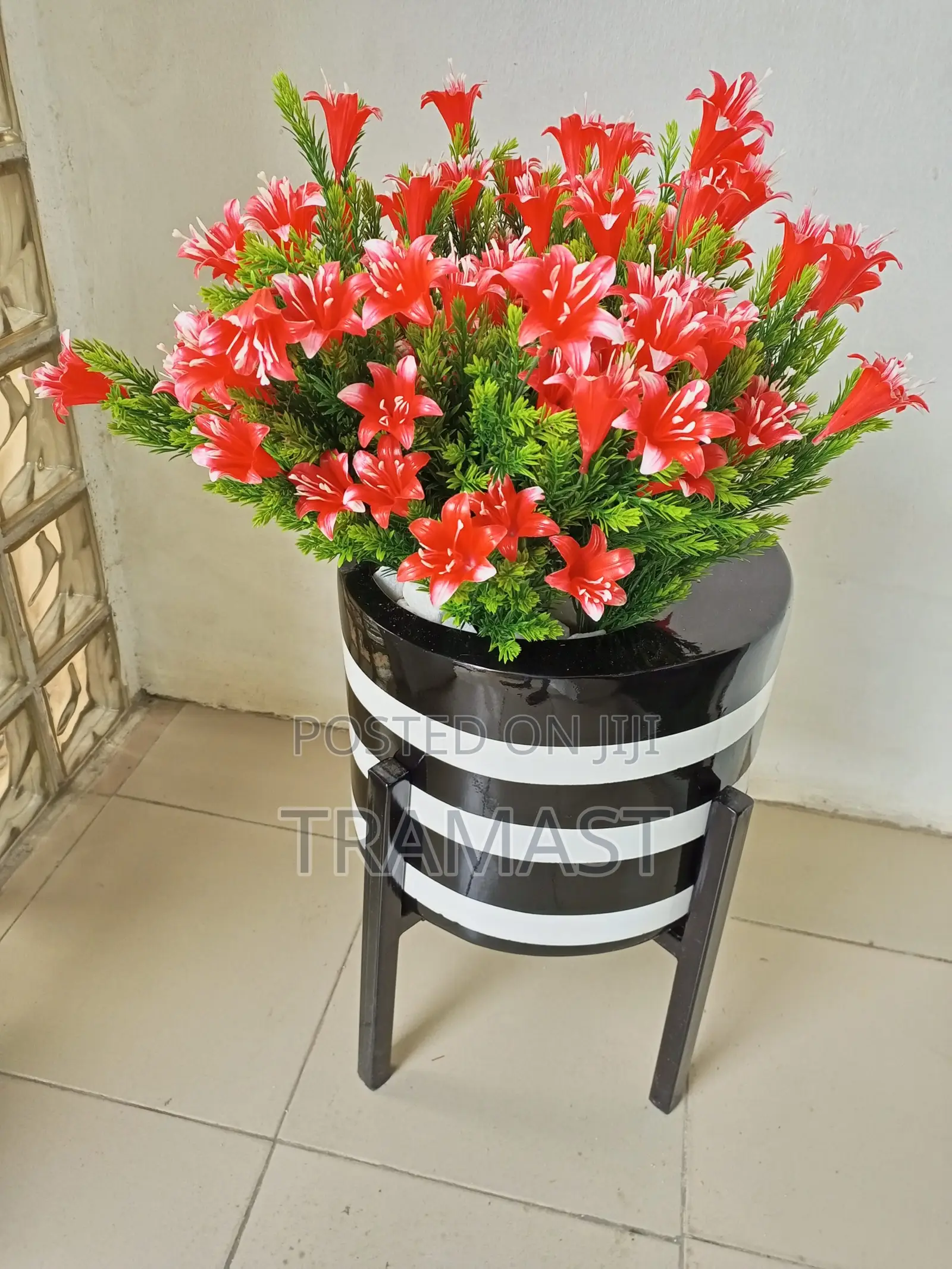Belladonna Lily Flowers Potted With Black And White Strips F