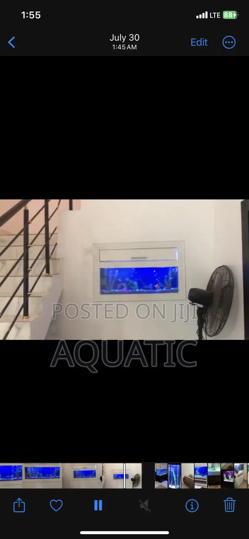 Wall Aquarium