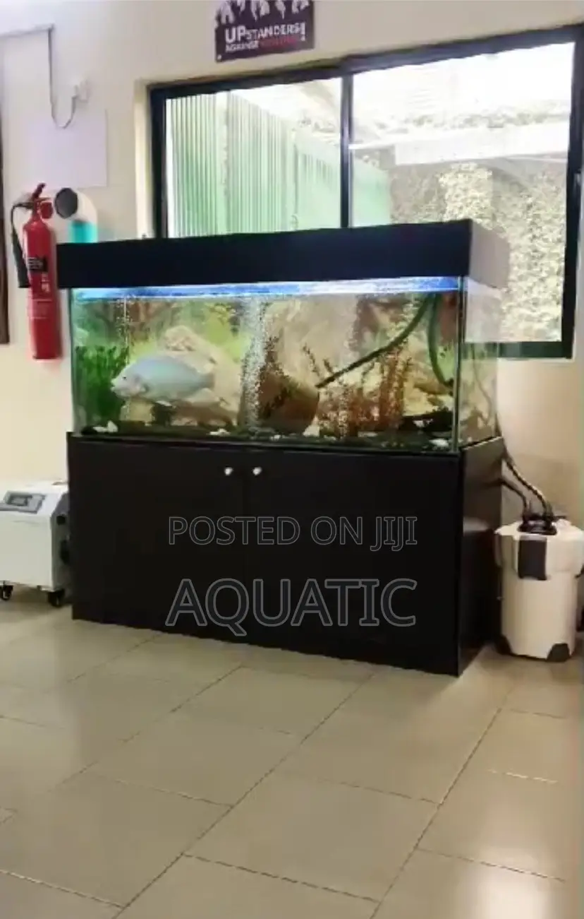 Aquarium Fish Tank