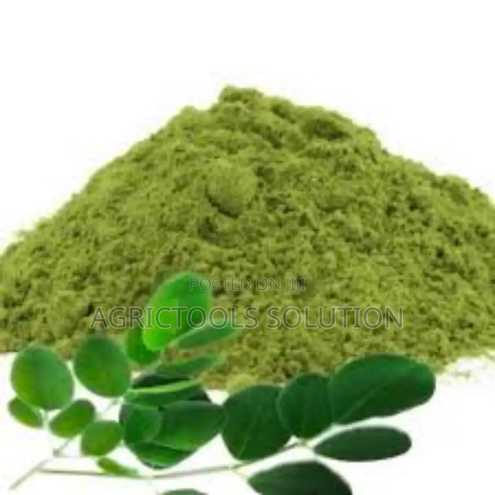 Moringa Powder