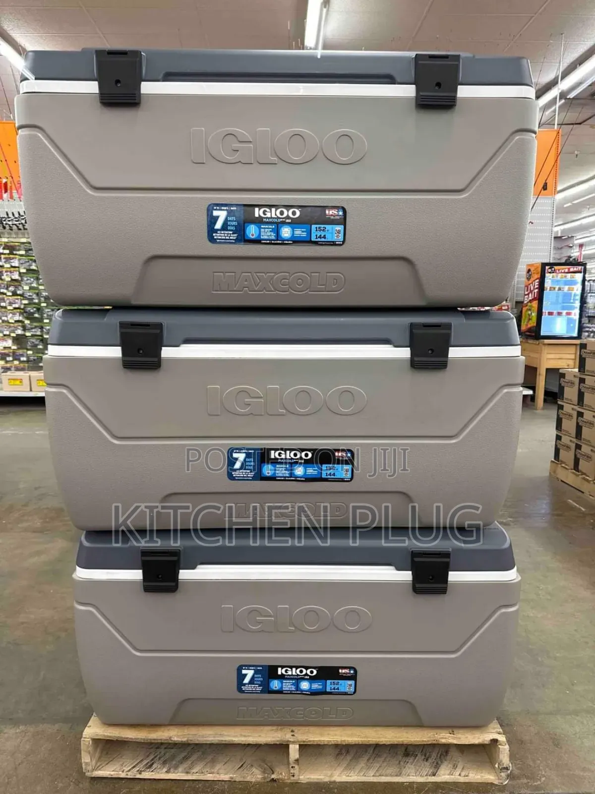 Igloo Maxcold 152-Qt. Cooler