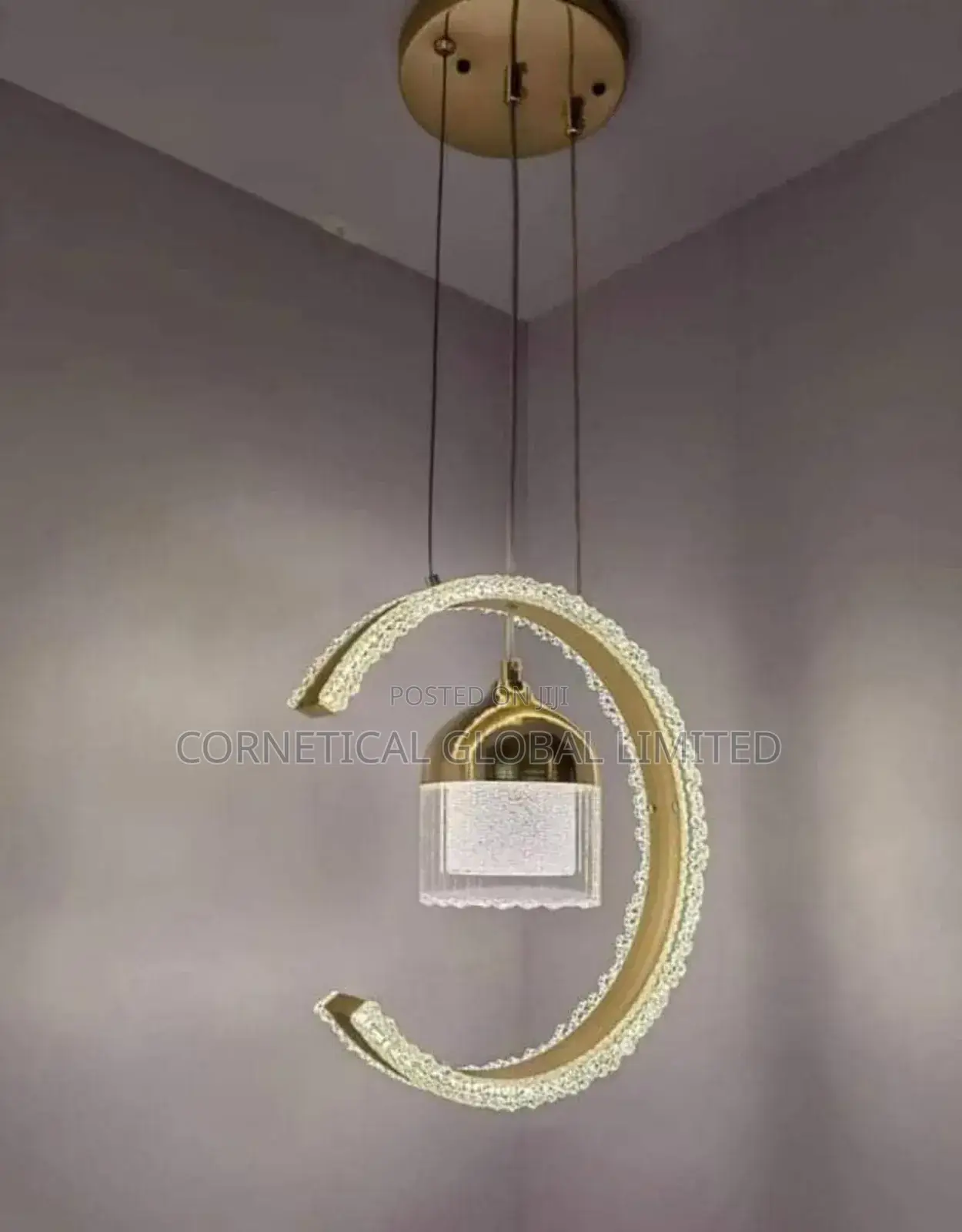 Quality Modern Ceiling Mounted Single Ring Pendant Light