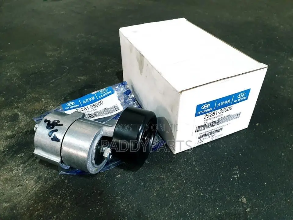 Hyundai IX35 Engine Belt Tensioner/Roller