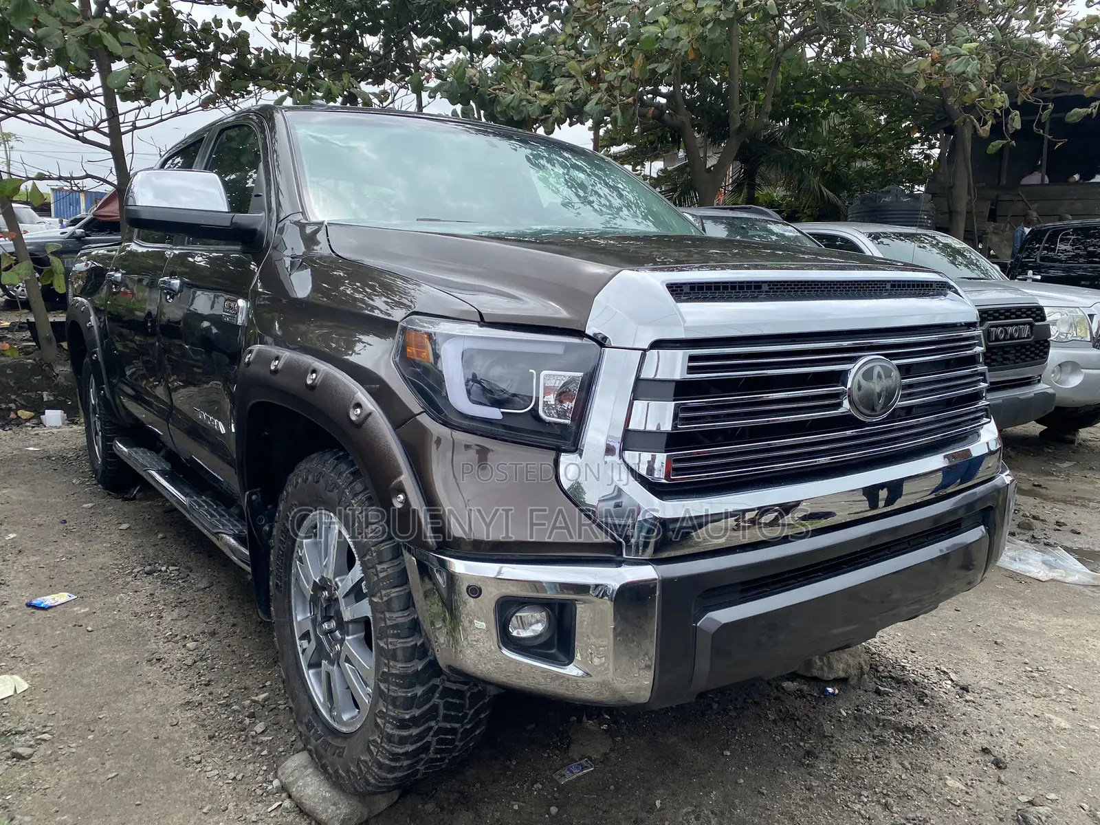 Toyota Tundra 2019 Brown