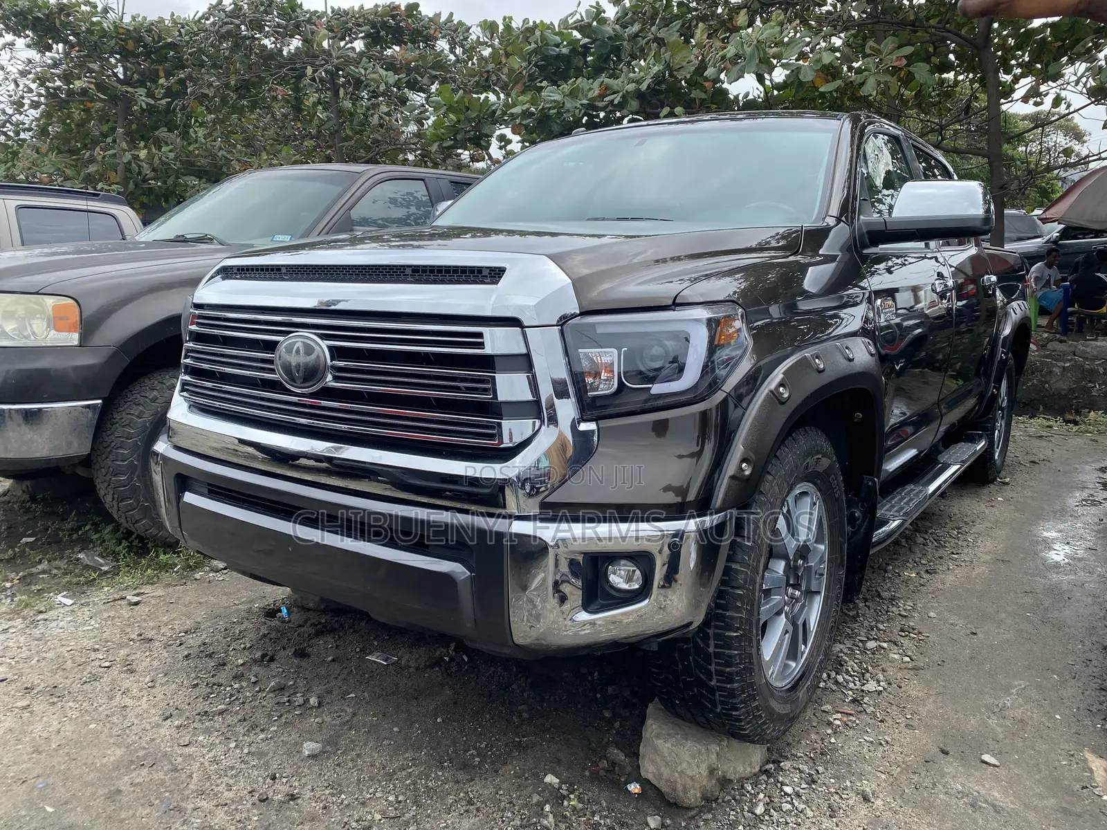 Toyota Tundra 2019 Brown