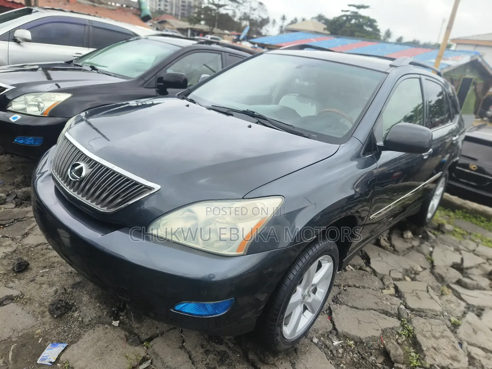 Lexus RX 330 2005 Gray
