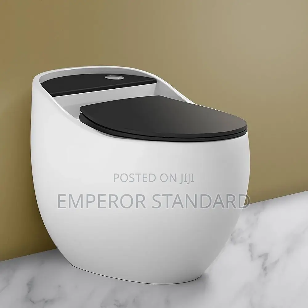 White One-Piece Executive Wc Smart Toilet
