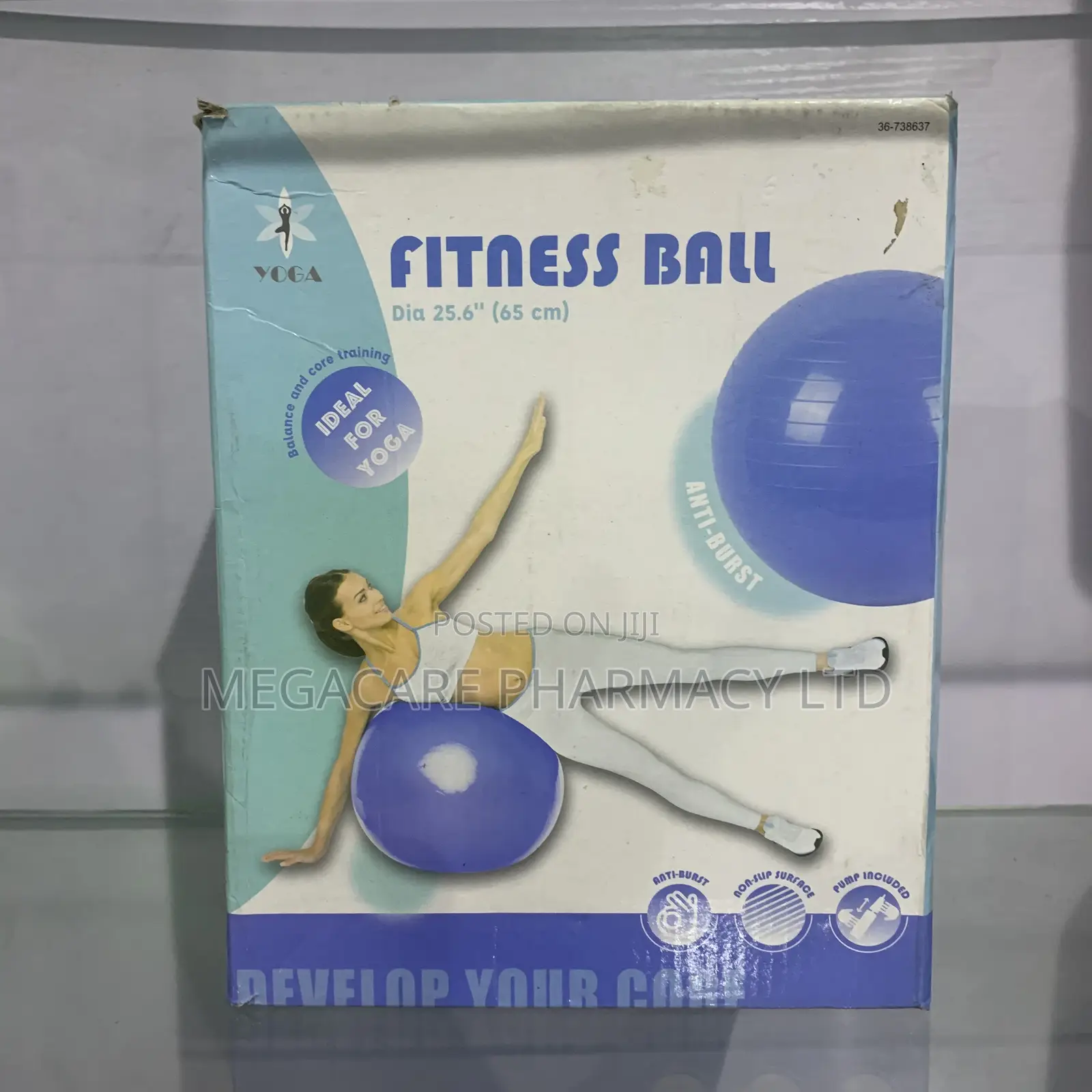Fitness Ball