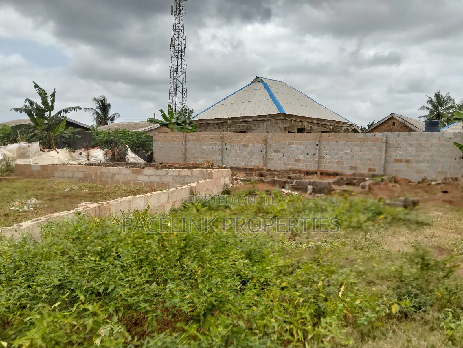 Half Plot of Land in a Very Decent Area