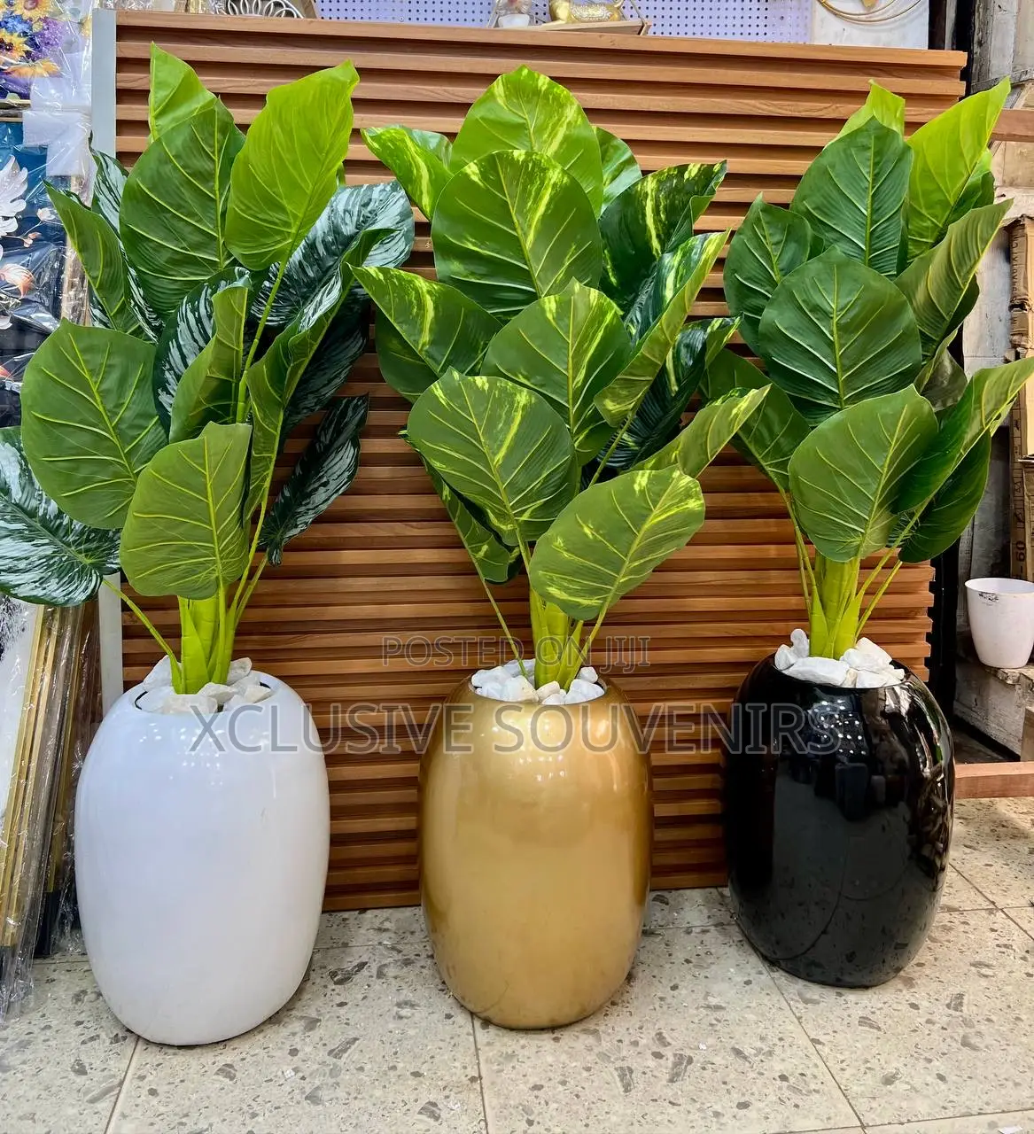 Egg Shaped Fiber Pot With Plant