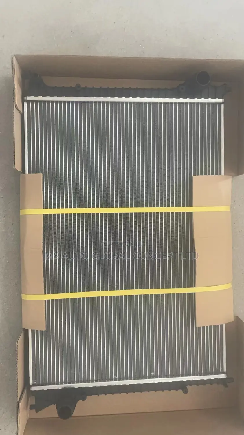 Bentley Radiator