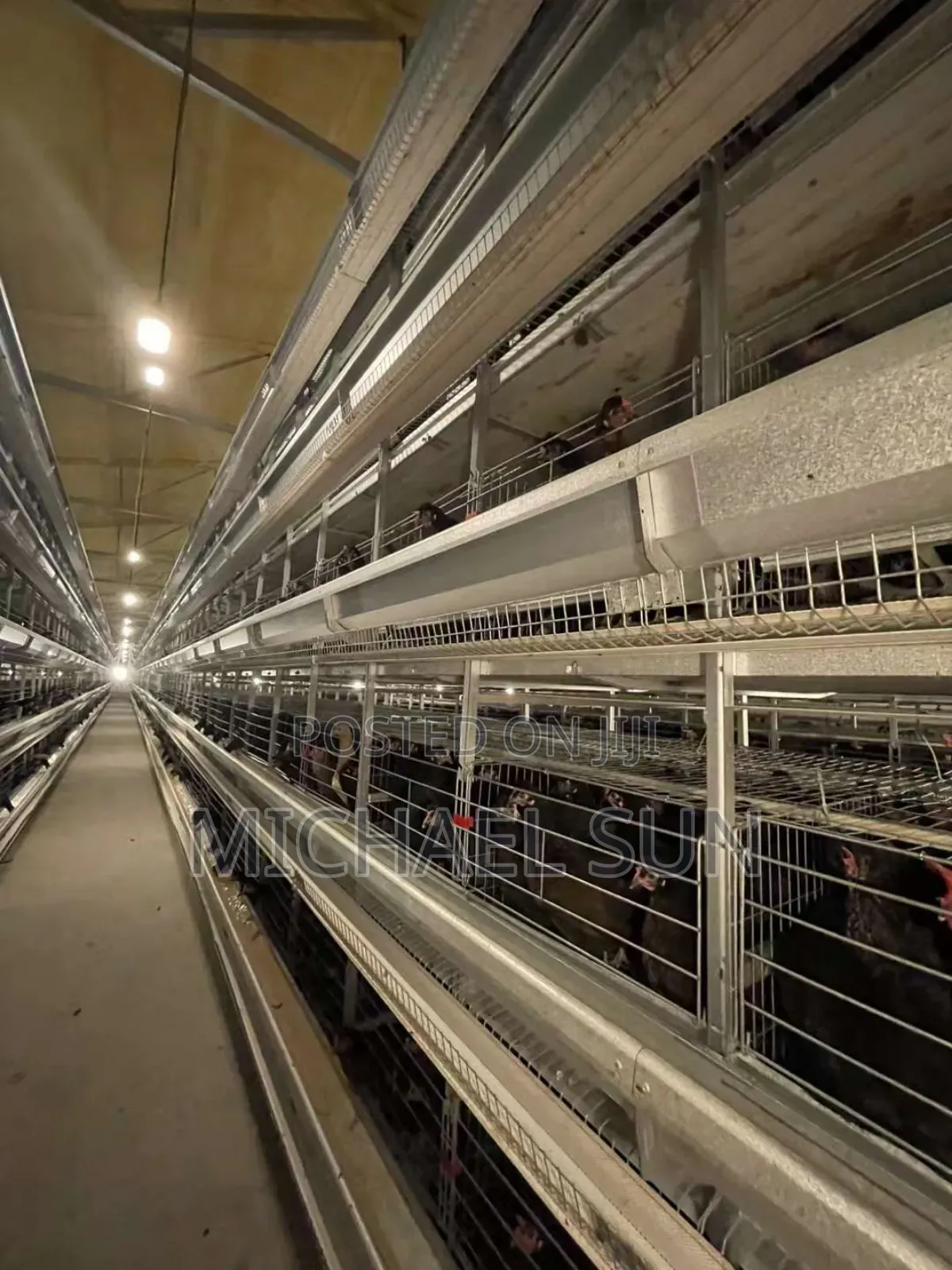 Battery Cage Imported Poultry Cage