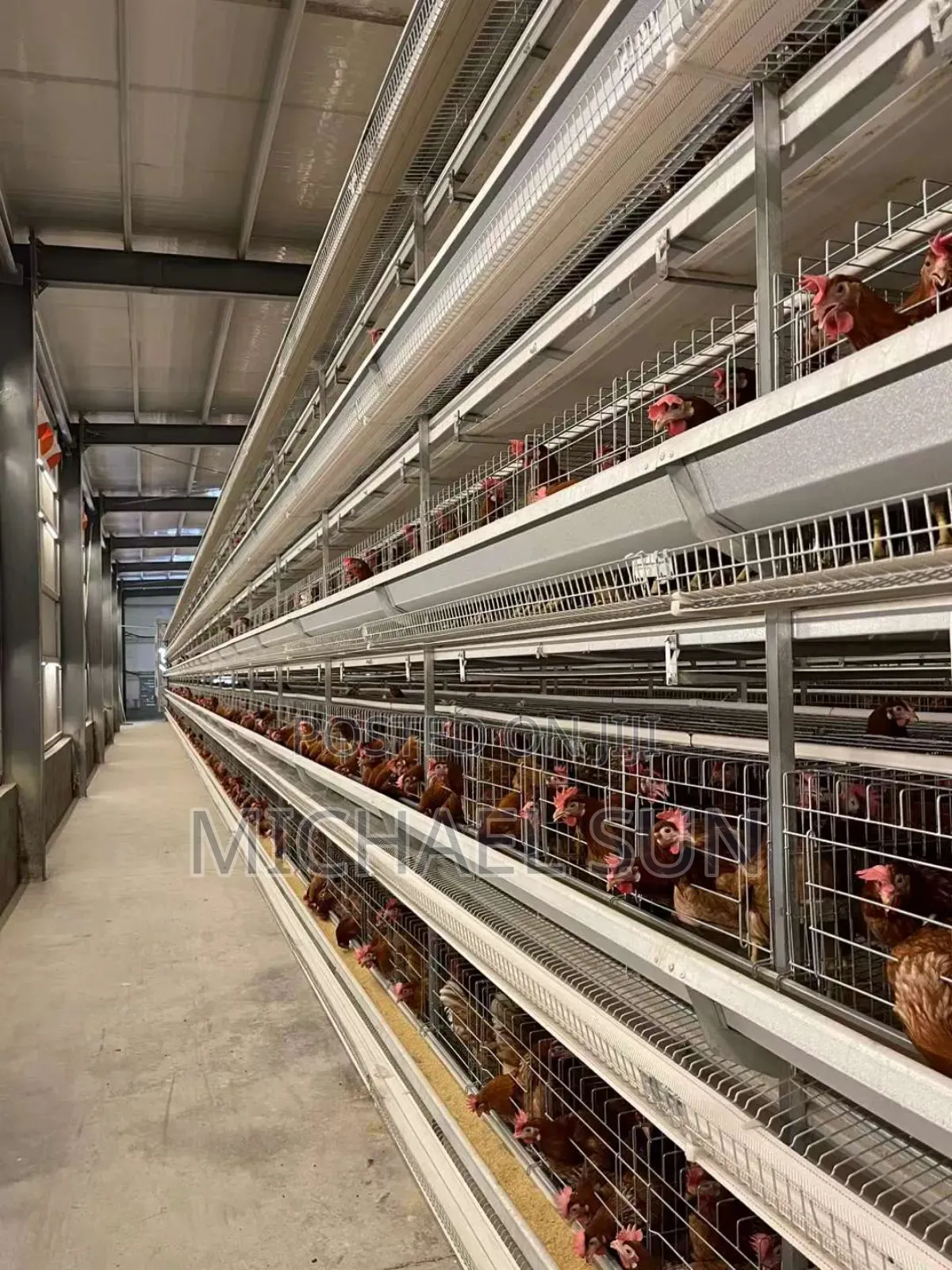 Battery Cage Imported Poultry Cage