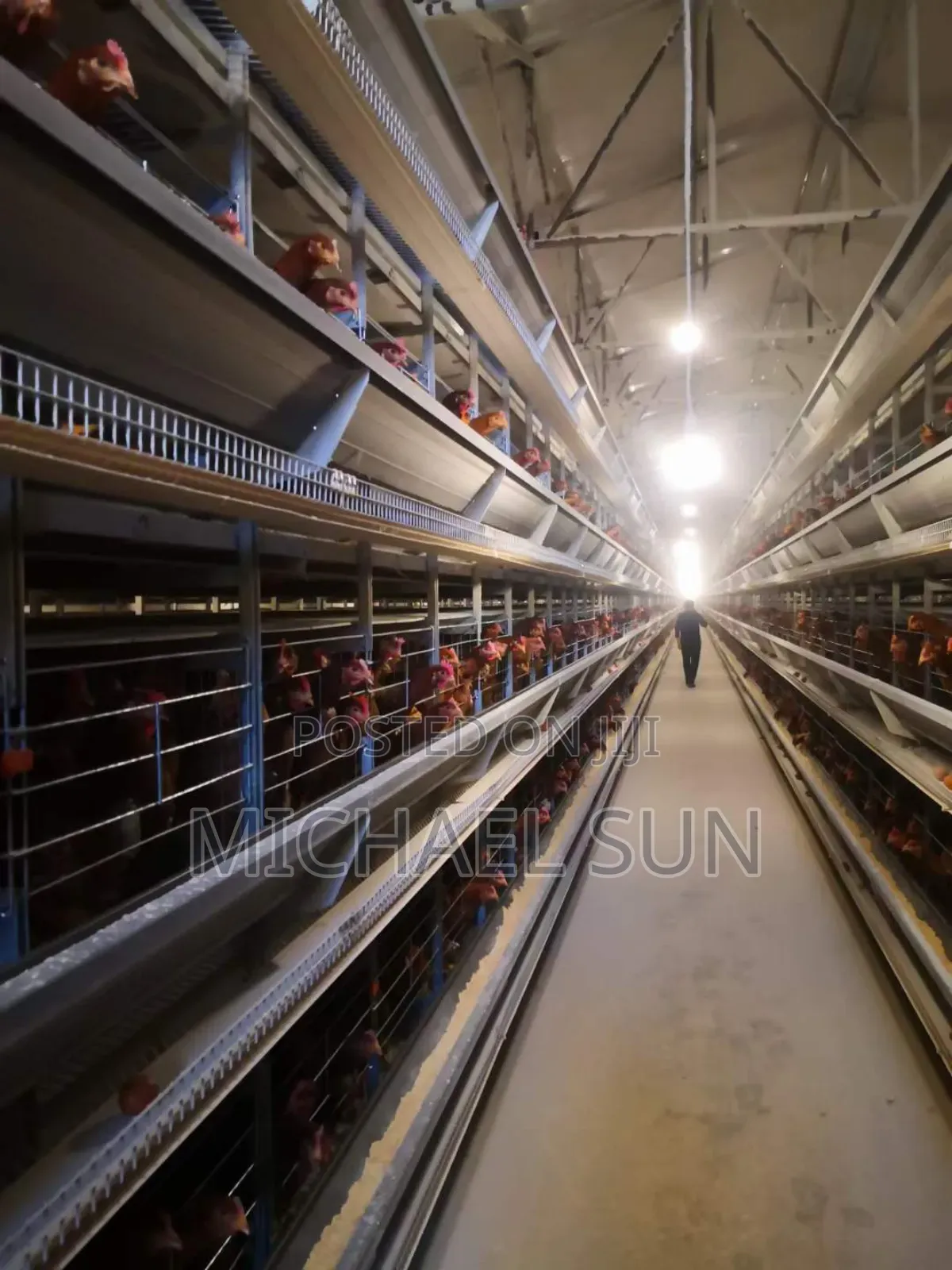 Battery Cage Imported Poultry Cage