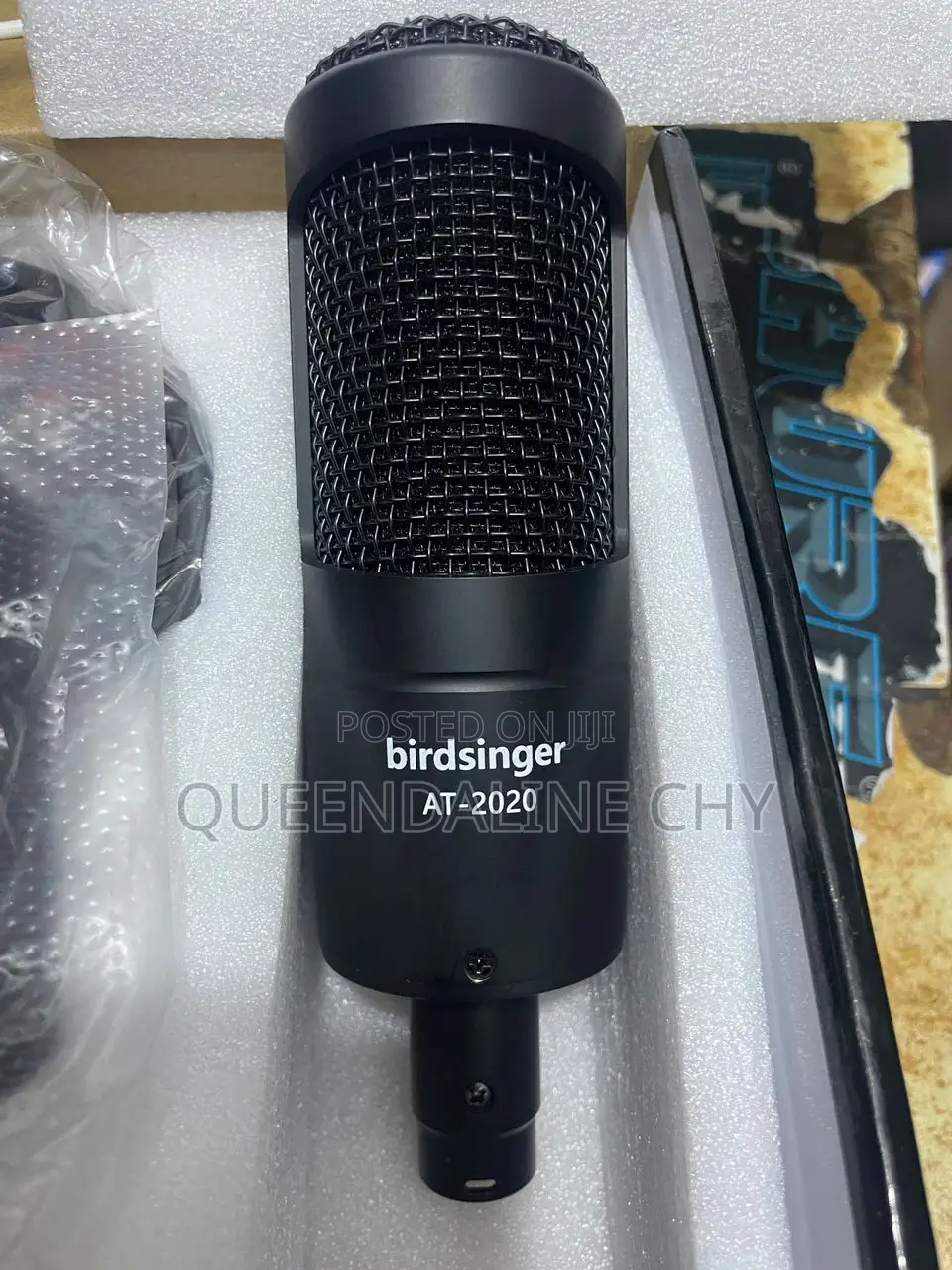 Condenser Microphone. Birdsinger