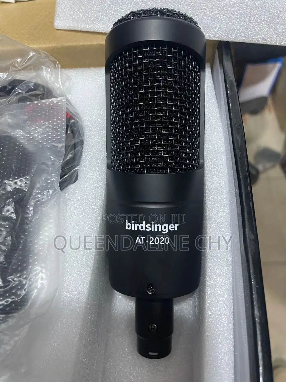 Condenser Microphone. Birdsinger
