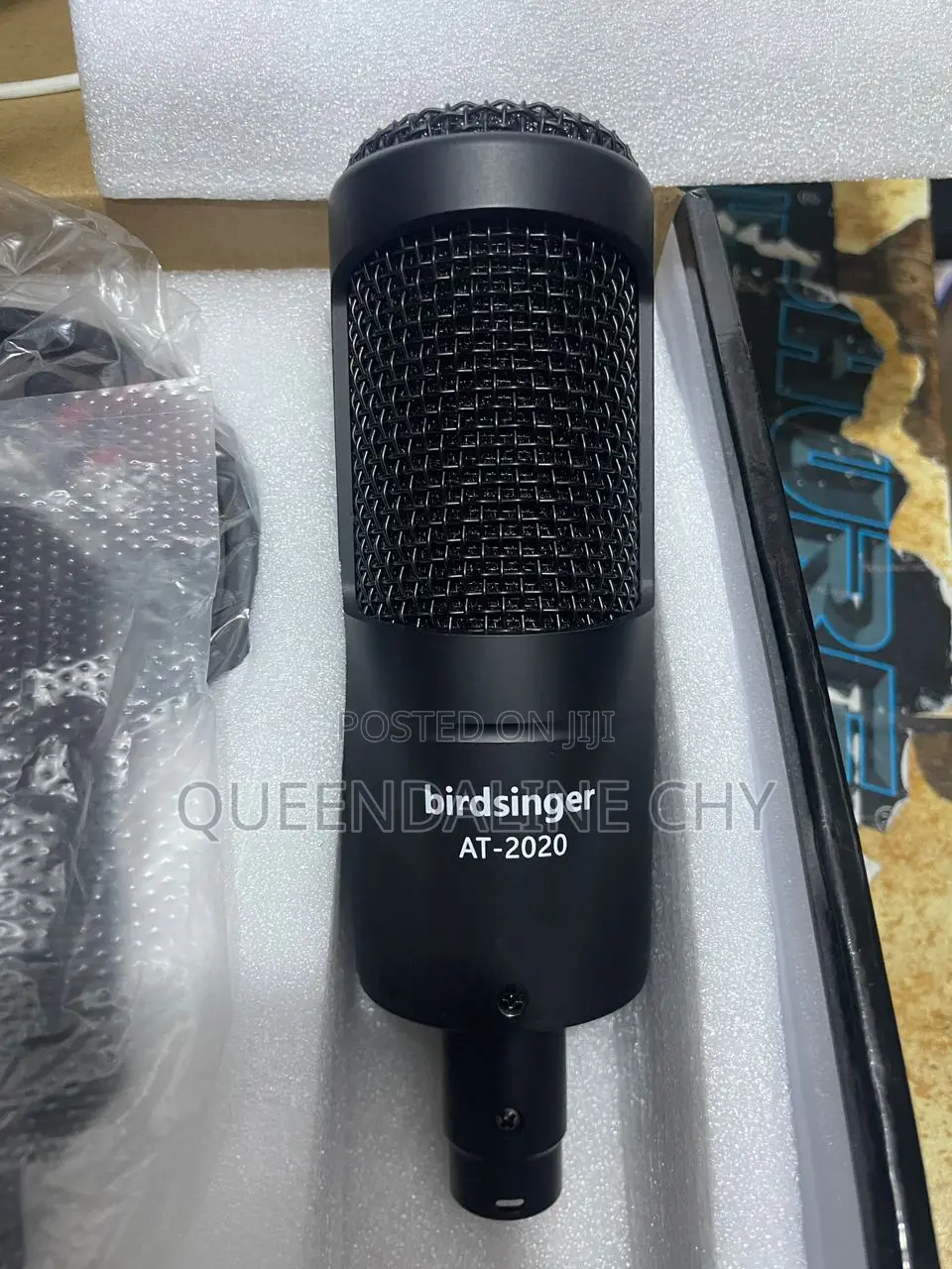 Condenser Microphone. Birdsinger