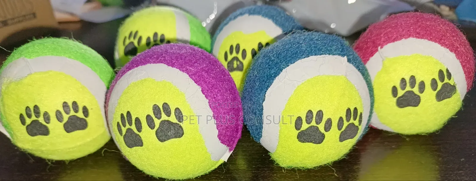 Dog Balls Toy