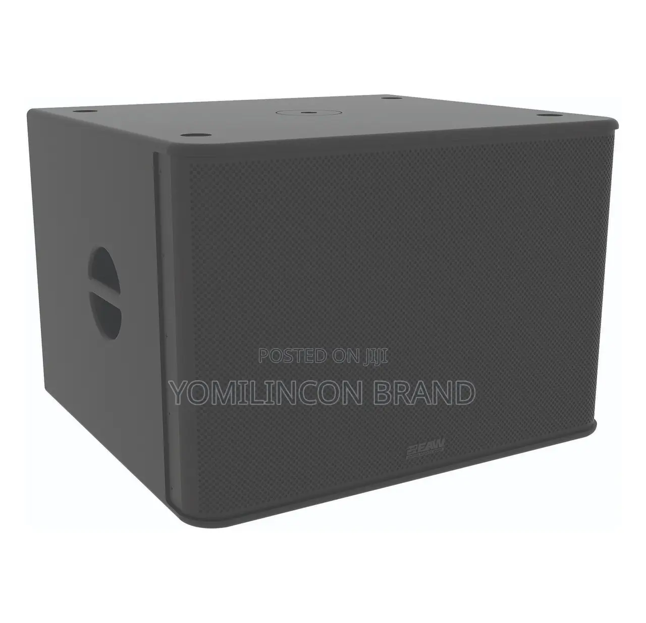 Eaw Rs118 Self-Powered Subwoofer