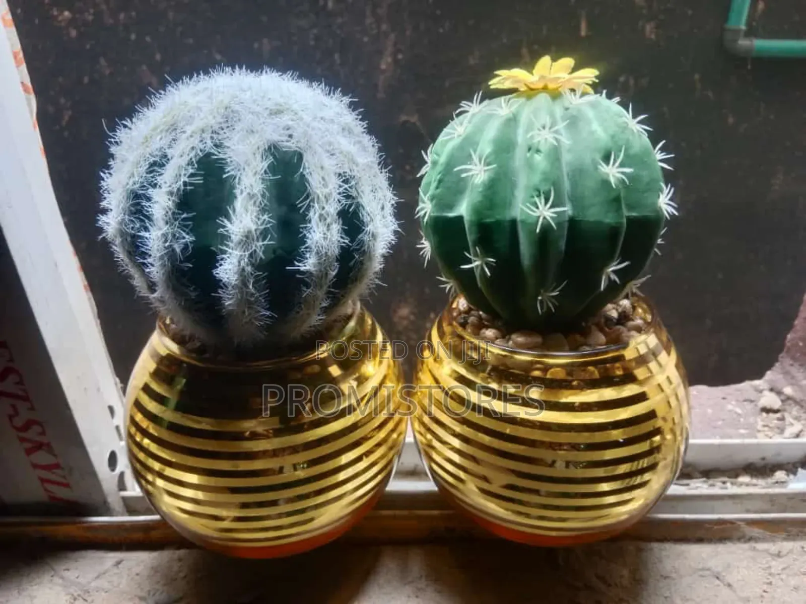 2 Artificial Cactus Plant Mini Pot Tabletop Succulent Plants
