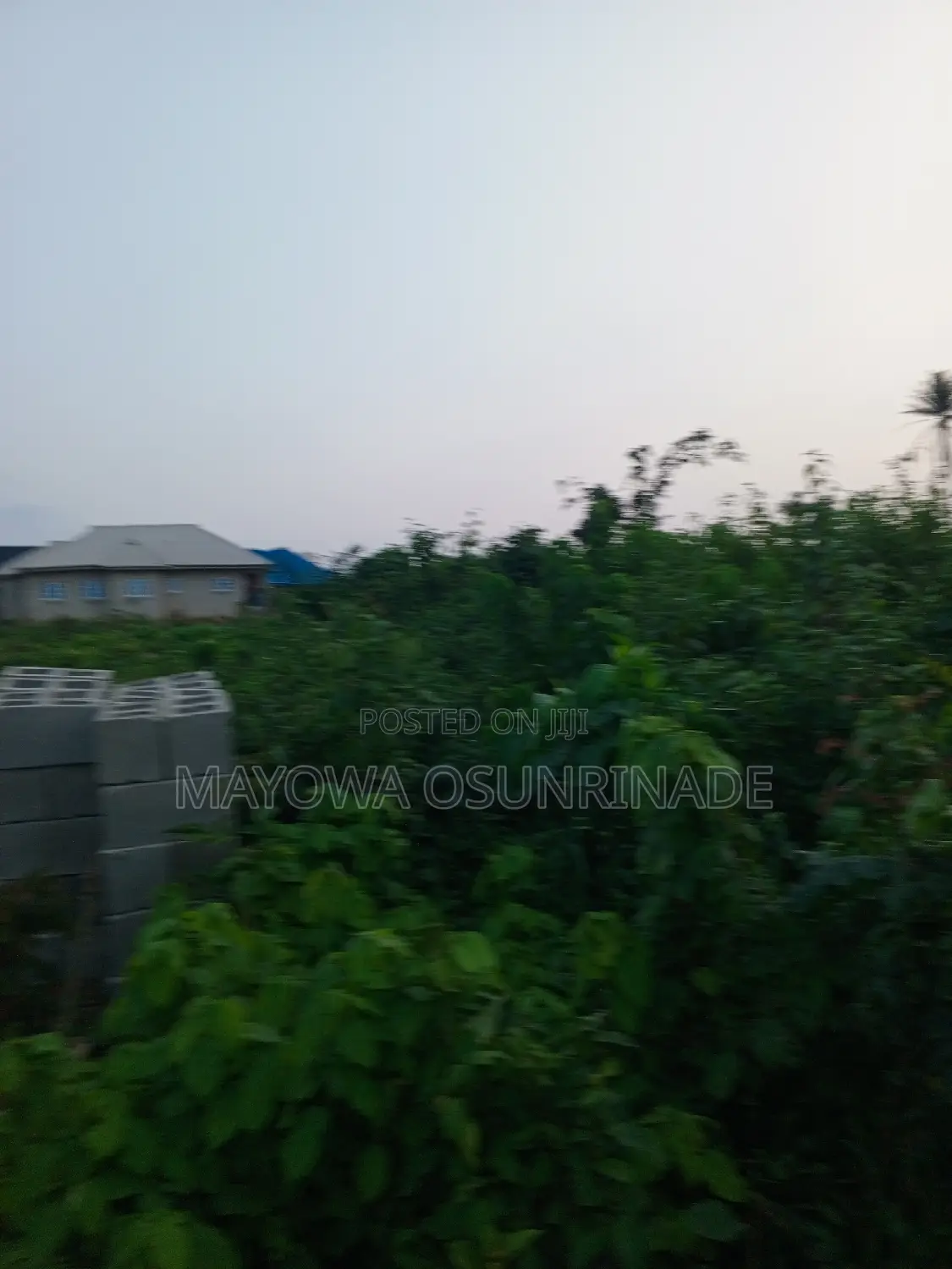 Full Plot of Land at Idi Obi, Ologuneru/Ido Road