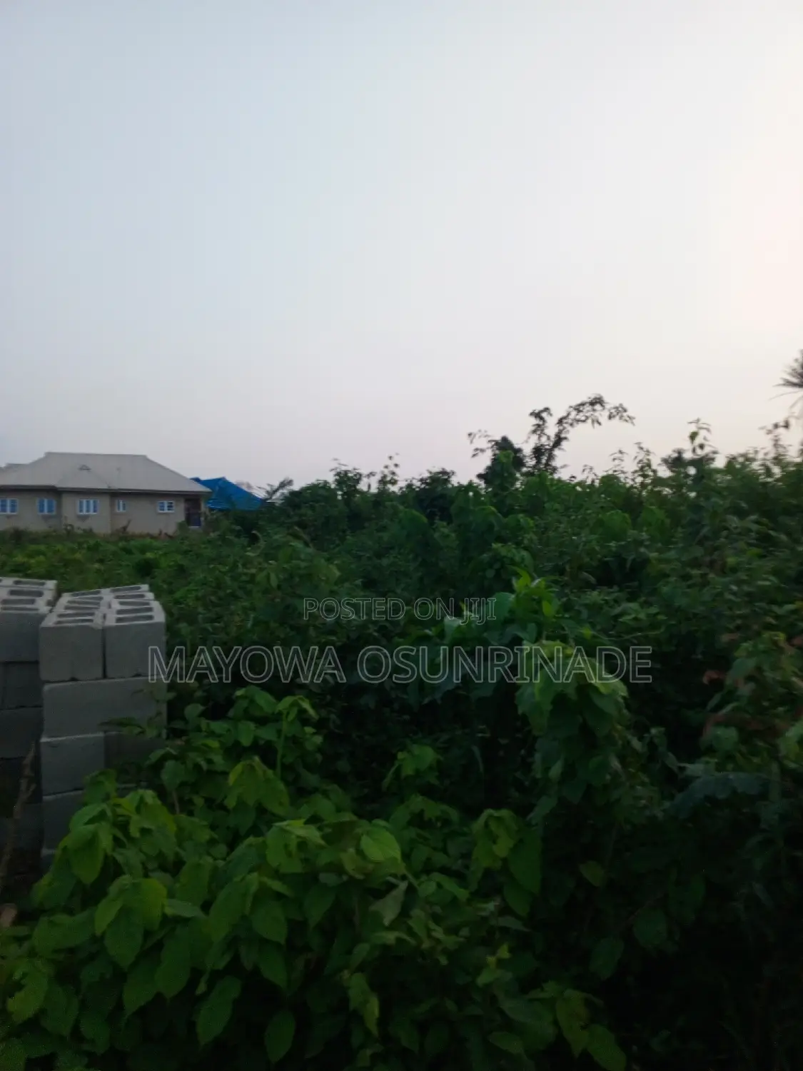Full Plot of Land at Idi Obi, Ologuneru/Ido Road