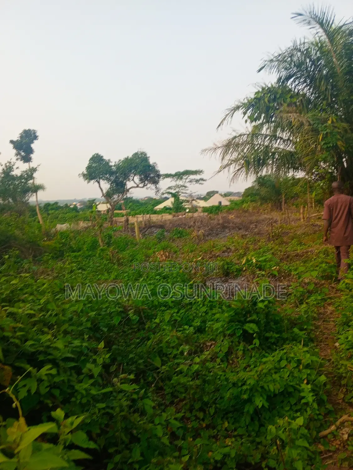 Full Plot of Land at Idi Obi, Ologuneru/Ido Road