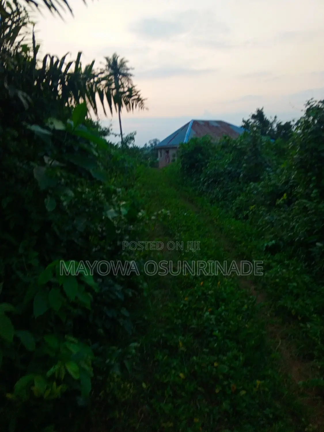 Full Plot of Land at Idi Obi, Ologuneru/Ido Road