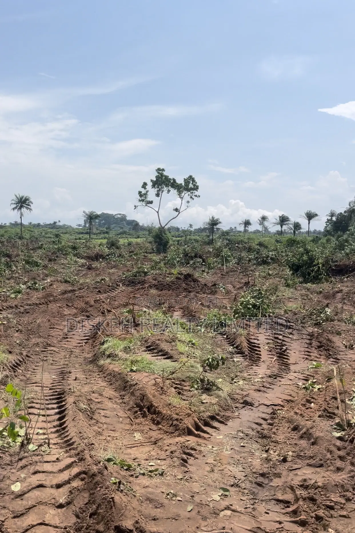 CITY GROOVE ESTATE PHASE 2- Lands In Ogbaku Owerri
