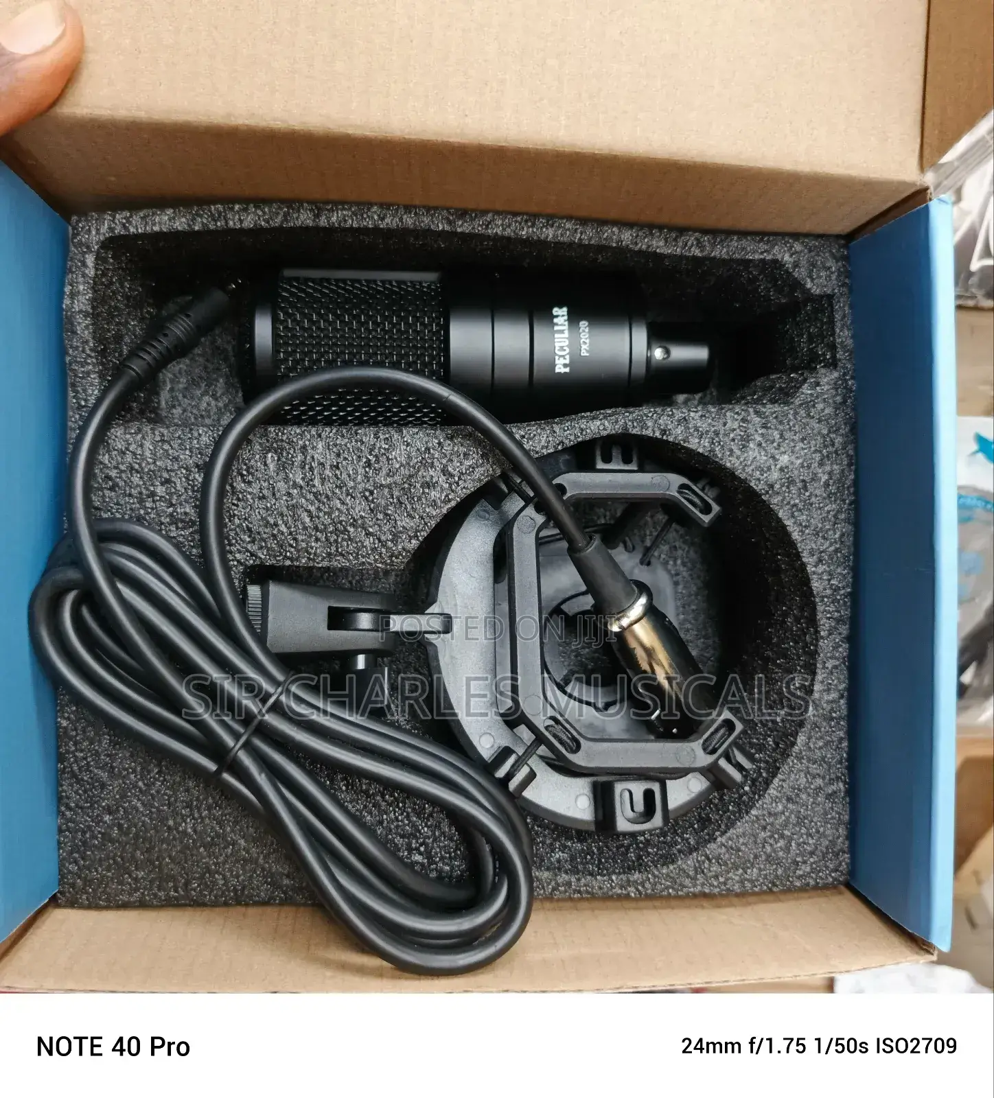 High Quality Peculiar PX-2020 Condenser Studio Microphone