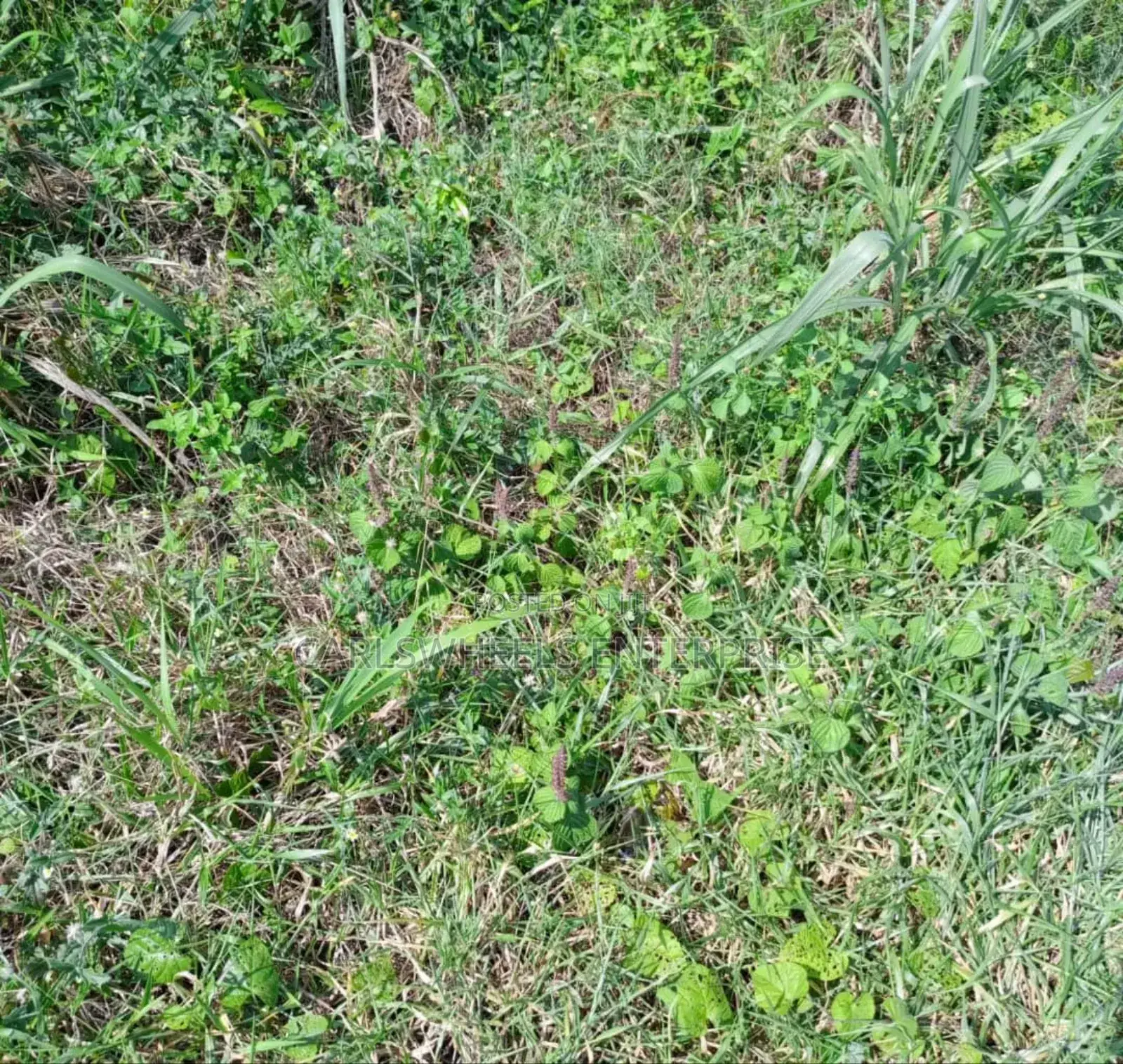 500qm Plots of Land in Amber Court Estate Epe.
